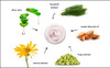 Raya BioHydrating Cream 303 Light Moisturizing Face Cream for Non Problem Skin Tones Firms Hydrates and Helps Reduce Fin