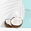 PURE FIJI Hydrating Day Face Cream Multi Active Hydrating Face Moisturizer Gel Cream to Hydrate and Smooth Skin Natural
