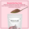 Rose petal powder by mi nature 227 g 8 oz 05 lb 100 Natural and Pure Skin care Chemical free No added colours no preserv