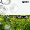 Leaders Mediu Amino PoreTight Facial Sheet Mask Amino Acid Complex Tea Tree Oil Zinc PCA for AcneProne Oily Skin Minimiz
