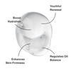 eb5 Aha AntiAging Facial Toner with Vitamins and Antioxidants Tones Firms Tightens AlchoholFree Clinically Tested on Sen