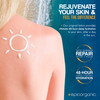 Epic Organicum After Sun Lotion Sunburn Relief Aloe Vera Vitamin E Cream Body Lotion Face Moisturizer Lotion for Dry Ski
