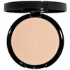 Dual Active Powder Foundation Tender Beige