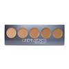 Cinema Secrets Ultimate Foundation 5in1 Palette Medium PeachBeige Undertones400 series Buildable Coverage LongWear Matte