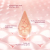 Illuminating Rose Gold Facial Serum Elixir with hydrating Aloe and Hyaluronic Acid for a light highlighting Primer Natur