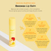 FASCY Lollipop Lip Balm Banana Lip Balms Moisturizers Korean Lip Balm Korean Lip Korean Lip Products Paraben Free Moistu