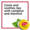 Carmex Medicated Lip Balm Jars Lip Protectant Pack of 3