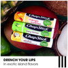 ChapStick Lip Care Set Tropical Paradise Collection 3Pack Mango Sunrise Key Lime Aloha Coconut Lip Balm 015 Oz Ea