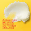 Burts Bees Lip Balm 100 Natural Origin Peppermint Salted Caramel Shortbread Cookie and Cranberry Spritz Moisturizing Lip