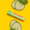 Burts Bees Lip Balm Original Beeswax Cucumber Mint Watermelon Sweet Mandarin With Responsibly Sourced Beeswax TintFree N