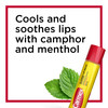 Carmex Medicated Lip Balm Sticks Lip Moisturizer for Dry Chapped Lips 3 Count