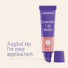Lansinoh Lanolin Lip Balm 4 Pack 025 oz Each UltraMoisturizing Lip Care with Natural Lanolin for Dry Chapped Lips