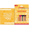 Burts Bees Youre the Balm Lip Balm Pack With Beeswax Wild Cherry Watermelon and Vanilla Bean Flavors With Responsibly So