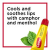 Carmex Medicated Lip Balm Tubes Lip Moisturizer for Dry Chapped Lips 035 OZ 2 Packs of 3