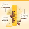 Cococare Cocoa Butter Lip Balm The Little Yellow Stick Conditions Protects Lips with Hydrating Formula Light Scent of Co