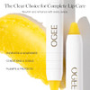 Ogee Sculpted Lip Oil Lip Stain Made with 100 Organic Coconut Oil Jojoba Oil and Vitamin E Best as Lip Balm or Overnight