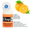 ChapIce Premium and Traditional Lip Balm for Chapped Dry or Windburned Lips Pocket Size Display with Assorted Flavors Ch