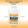 Lip Naturals Mini Vanilla Lip Balm with Sunscreen SPF15 Made in USA with Beeswax Coconut Oil 12Count Pack with Vanilla B