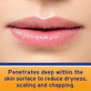 NEOSPORIN Lip Health Overnight Renewal Therapy White Petrolatum Lip Protectant Nourishing Night Moisturizer to Repair Dr