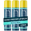 Oars Alps Lip Suncreen SPF 18 Lip Balm Shine Free Sunscreen for Lips Infused with Vitamin E Peppermint Spearmint Water S