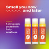 Indigo Wild Zum Kiss Stick Natural Lip Balm with Organic Beeswax Sunflower Oil Vitamin E Flavored Hydrating Lip Moisturi