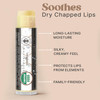 USDA Organic Lip Balm USA Made with Natural Ingredients 4 Pack Unflavored Chapstick for Dry Lips Birthday Gifts for Her
