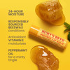 Burts Bees Christmas Gifts 4 Lip Balm Stocking Stuffers Products Assorted Mix Set Classic Beeswax Vanilla Cucumber Mint