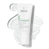 IMAGE Skincare ORMEDIC pH Balancing Lip Enhancement Complex with Avocado Oil Vitamin E for Deep Hydration Clear 025 fl o