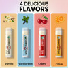 LizardLips Natural Lip Balm Vanilla USDA Certification Lip Moisturizer TravelFriendly Everyday Care Fun Quirky Beach Vac
