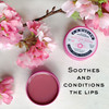 CO Bigelow Sakura Rose Salve Tins Pack of 3 Lip Balm Tins All Purpose Salve for Lips Cuticles Hands Dry Skin Lip Balm Se