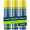 Oars Alps Lip Suncreen SPF 18 Lip Balm Shine Free Sunscreen for Lips Infused with Vitamin E Shea Butter Water Sweat Resi