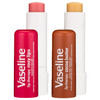 Vaseline Lip Therapy Variety 4Pack Rosy Lips Cocoa Butter Moisturizing Lip Balm with Vitamin E 016 Oz Ea