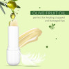 WBM Care Kids Organic Lip Balm enriched with 100 natural ingredients provides a hydrating and soothing effect Pack of 6
