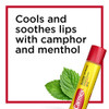 Carmex Medicated Lip Balm Sticks Lip Moisturizer for Dry Chapped Lips 015 OZ 2 Packs of 3