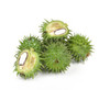 Castor Wax Hydrogenated Castor Oil Great Thickening Agent for lotions and Creams Lip balms Body Creams Hair Care Product