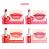 SKINFOOD Tomato Jelly Tint Lip 02 Berry Tomato Moisturizing Tinted Lip Balm with Tomato Extracts Healthy Looking Long La