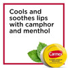 Carmex Classic Lip Balm Medicated 025 oz Pack of 10