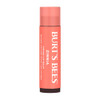 Burts Bees 100 Natural Origin Tinted Lip Balm Zinnia with Shea Butter Botanical Waxes 1 Tube