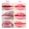 2PCS Bee Balm Honey PotPropolis Moisturizing Lip MaskHydrating Prevention Dry and Cracked Lip Scrubs Exfoliator