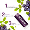 Hurraw Huckleberry Lip Balm Organic Certified Vegan Cruelty and Gluten Free NonGMO 100 Natural Ingredients Bee Shea Soy