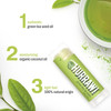 Hurraw Green Tea Lip Balm 3 Pack Organic Certified Vegan Cruelty and Gluten Free NonGMO 100 Natural Ingredients Bee Shea