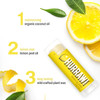 Hurraw Lemon Lip Balm 3 Pack Organic Certified Vegan Cruelty and Gluten Free NonGMO 100 Natural Ingredients Bee Shea Soy