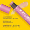 Burts Bees 100 Natural Moisturizing Lip Shimmer Strawberry 1 Tube