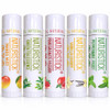 5Pack Premium Beeswax Lip Balm by Naturistick ChemicalFree 100 Natural Chapstick for Dry Chapped Lips Made with Coconut