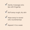 Burts Bees Conditioning Honey Lip Scrub Exfoliates Conditions Dry Lips with Honey Crystals Use with Overnight Intense Tr