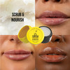 Dr PawPaw Lip Scrub and Lip Balm Duo Vegan Lip Scrub Exfoliator and Hydrating Lip Balm with Pawpaw Aloe Olive and Castor