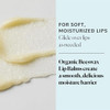 Sky Organics Organic Lip Balms With Beeswax for Lips USDA Certified Organic Four Assorted Flavors to Moisturize Soothe S