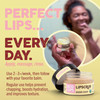 Eco Lips LIP SUGAR SCRUB 4 Pack 4025oz jars 100 Organic Lip Care Treatment with Organic Sugar Coconut Oil Gently Exfolia