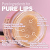 Eco Lips LIP SUGAR SCRUB 4 Pack 4025oz jars 100 Organic Lip Care Treatment with Organic Sugar Coconut Oil Gently Exfolia