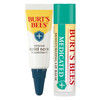 Burts Bees Cold Sore Treatment and Medicated Lip Balm With Menthol and Eucalyptus Oil Natural Origin Skincare 2 Tubes 00